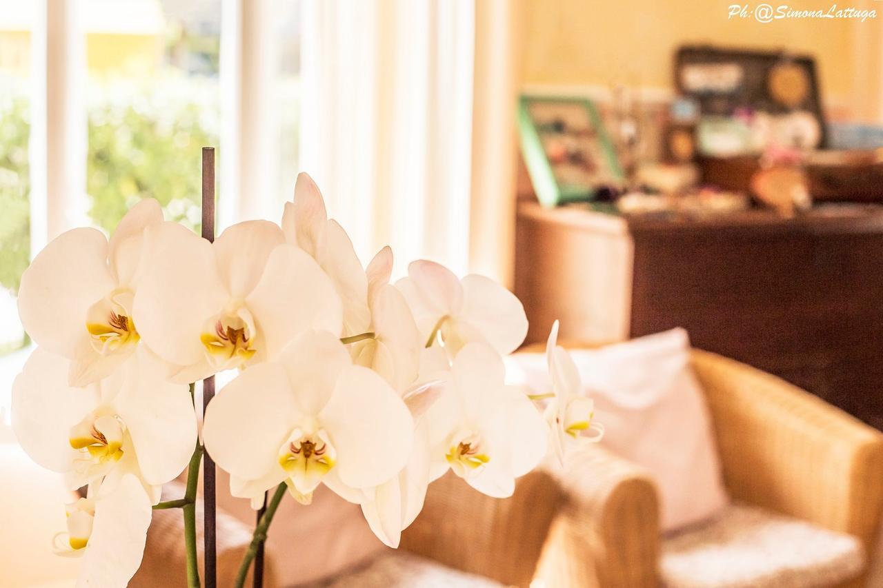 Hotel Ninfea Червия Екстериор снимка